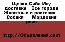 Щенки Сиба Ину доставка - Все города Животные и растения » Собаки   . Мордовия респ.